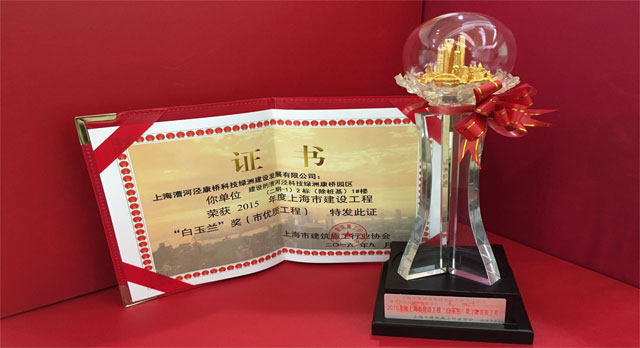 2015年度上海市白玉兰奖(市优质工程)
