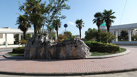 紫丁香花园